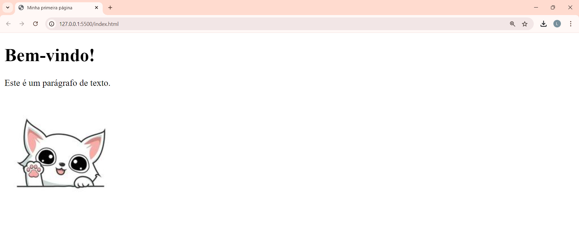 imagem de página web